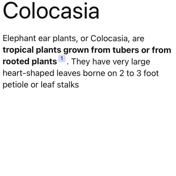 Green Leaf Dangle Earrings - Picture 6 of 6